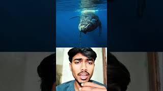 The Ocean 5 Amazing Facts | समंदर के वो Rare Facts जो आपको Shock कर देंगे #shorts