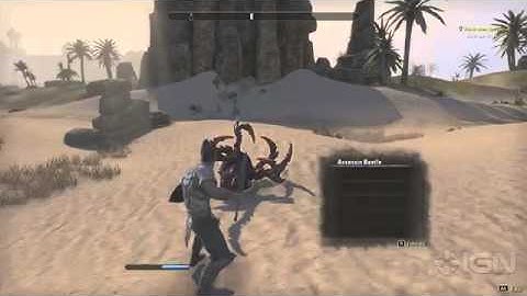 First Person vs. Third Person in ESO Elder Scrolls Online588