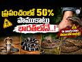 ప్రపంచంలో 50% పాముకాట్లు భారత్‌లోనే..!ఈ నాలుగు రకాల పాములతో జాగ్రత్త! #SnakeBitesIndia