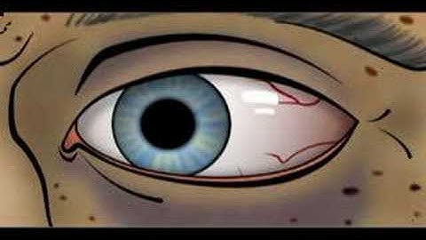 Synfig animation of an Eye