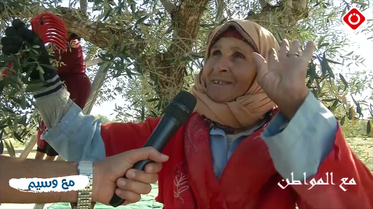 مع المواطن  _ انطلاق موسم جني الزيتون بالشابة