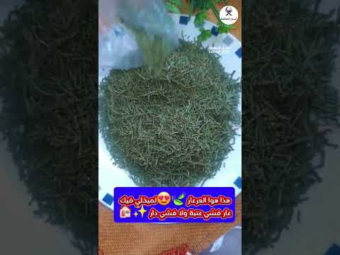 هذا هوا العربار الميخلي فيك عار فنشي عتبة ولا فشي دار 