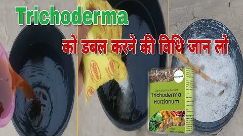 Trichoderma को डबल करने का ट्रिक| trichoderma ko multiply kaise karen