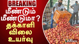 மீண்டும் மீண்டுமா  தக்காளி விலை உயர்வு |  tomato Price Hike | PTT