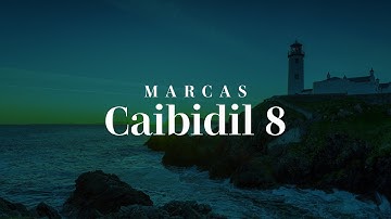Soiscéal Noafa Íosa Críost De Réir Marcais - Caibidil 8