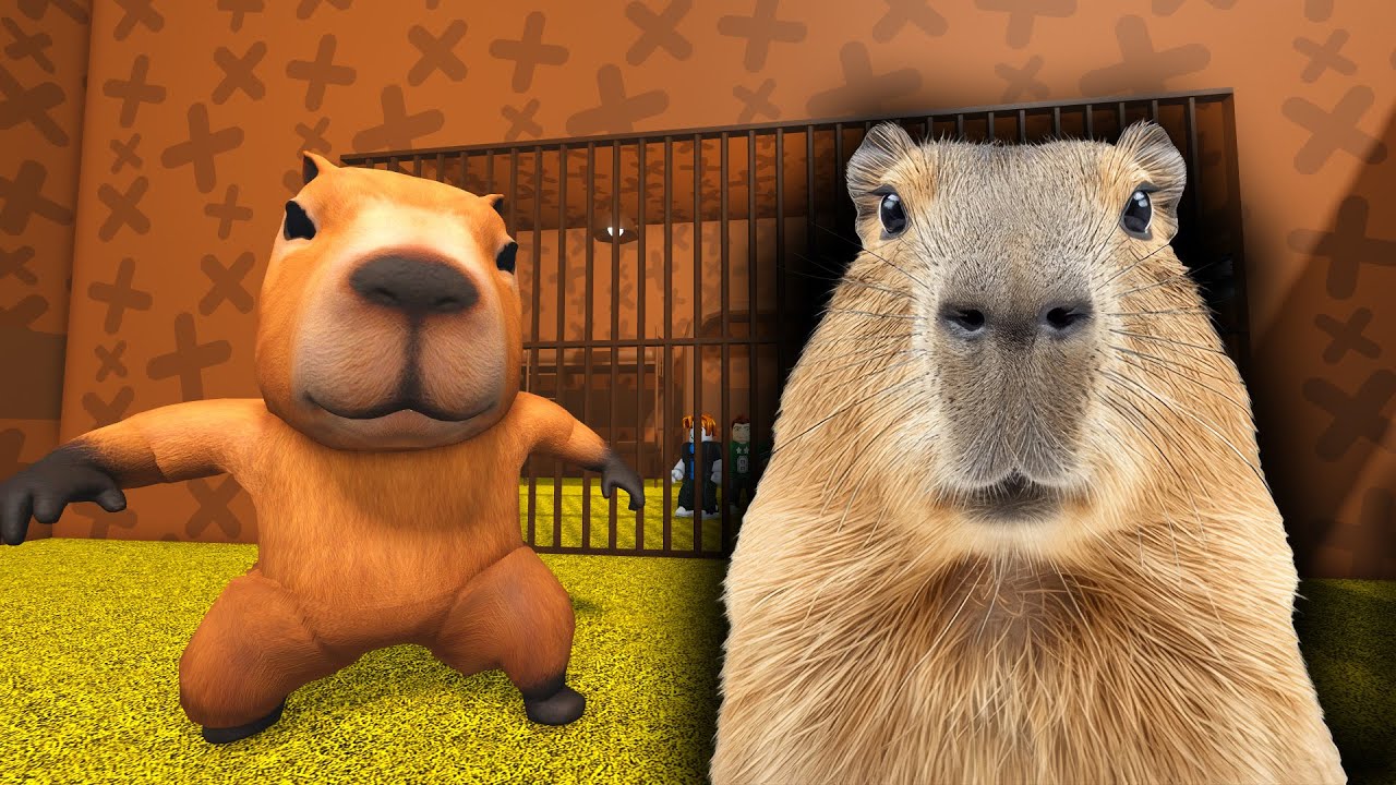 Fugarit de CAPYBARA in BARRY'S PRISON RUN OBBY - YouTube