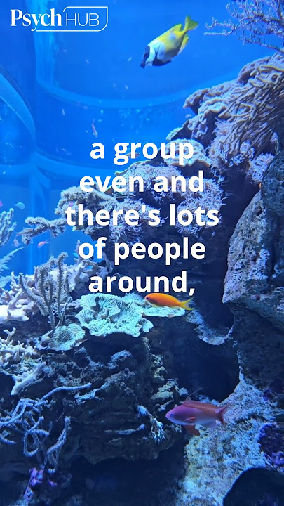 You Can Still Feel Lonely in a Crowd