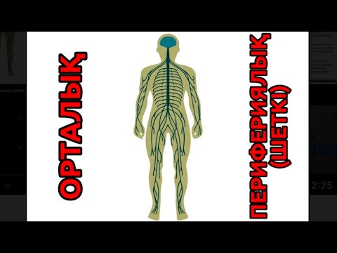 Жеке, азғын орыстардың суреттері