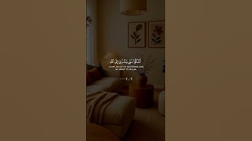 قران كريم راحة نفسية #اكسبلور #المصحف #راحة #راحة_نفسية #قران_كريم #vairal #لايك