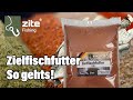 Spar dir die qual der wahl mit zite fishing zielfischfutter immer den richtigen futtermix am start