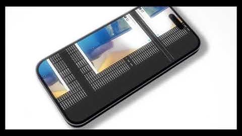 Wild Animal Detection Using AI (YOLO + InceptionV3) | Real-Time Wildlife Monitoring.