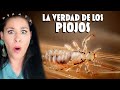 PIOJOS | La VERDAD de los PIOJOS