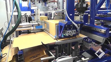 Meypack Case Packer Model VP 451 for 10 & 20kg Cheese Blocks into Wrap Around cases with a collar