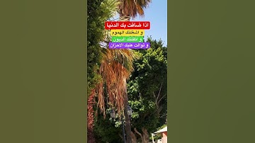 اذا ضاقت بك الدنيا افعل هذا #بدر_المشاري #دعاء #اكسبلور #دعاء_مستجاب #اذكار_المساء
