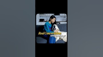 I’m all game for technological advancements but this is too much 😂 #shorts #ai #dogs #pets #funny