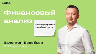 Финансовый анализ | Видеопрограмма онлайн-курса | Валентин Воробьев | Laba