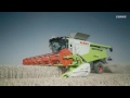 LEXION 600 на уборке пшеницы.