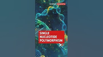 Single Nucleotide Polymorphisms Explained in 1 Minute! #snps