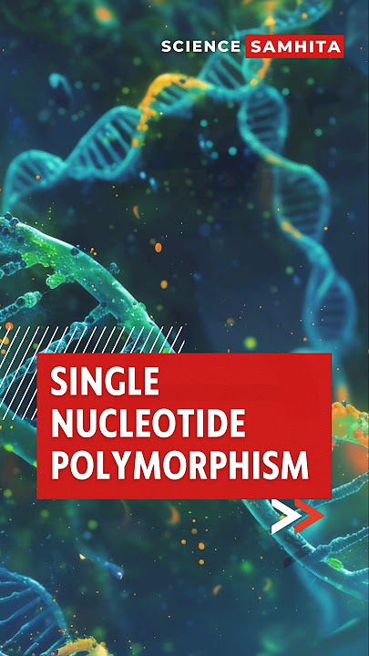 Single Nucleotide Polymorphisms Explained in 1 Minute! #snps
