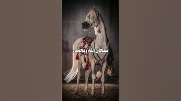 #اذكار #اكسبلور #تيك_توك #تاج_الذكر #لايك #المصحف #ترند #الرحمن