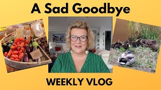 Weekly Vlog: A Sad Goodbye