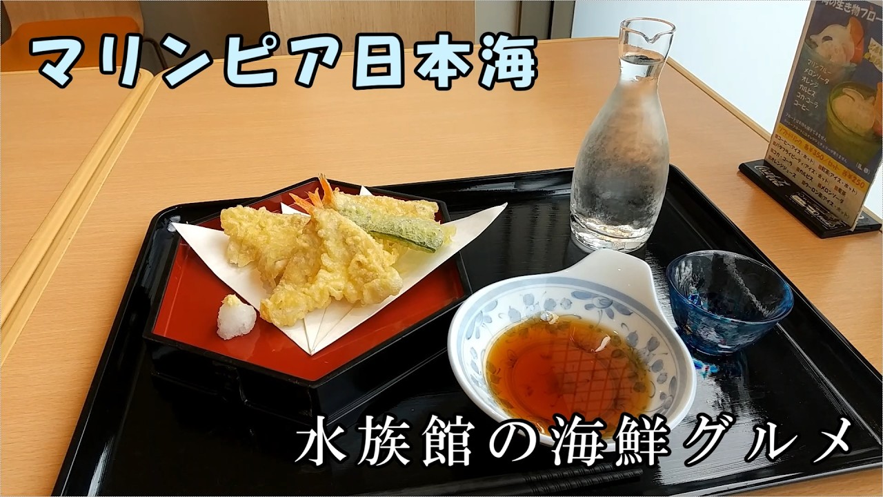 【マリンピア日本海】水族館で楽しめる日本酒とグルメ紹介