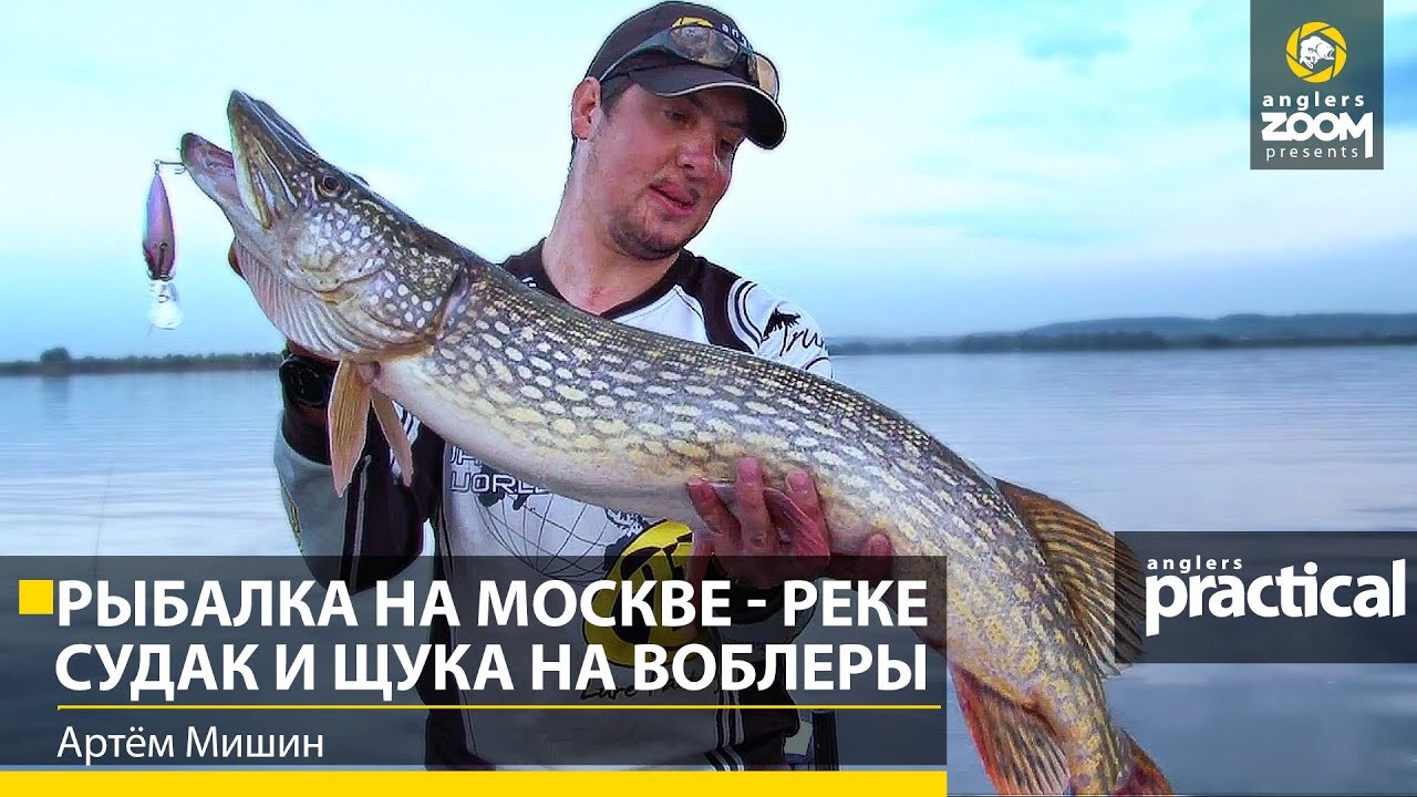 Рыбалка в подмосковье на реке Москва: лучшие места, советы и отзывы