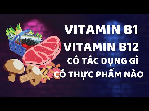 Vitamin B1, B12, B6, B9 có tác dụng gì? có trong thực phẩm nào?