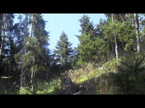 წაღვერი Tsaghveri