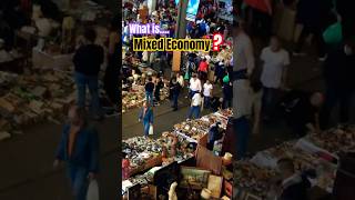 🛍️💰What is Mixed Economy #mixedeconomy #mixed #economy #markets #economics #whatdoesitmean