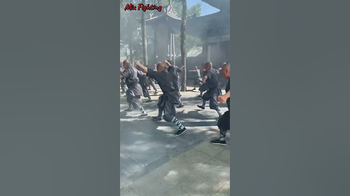 Shaolin monk eighteen Arhats - Mix Fighting