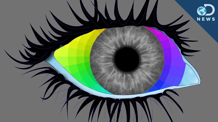 Do I See Colors the Same Way You Do? - DayDayNews