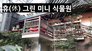 휴그린미니식물원 영상