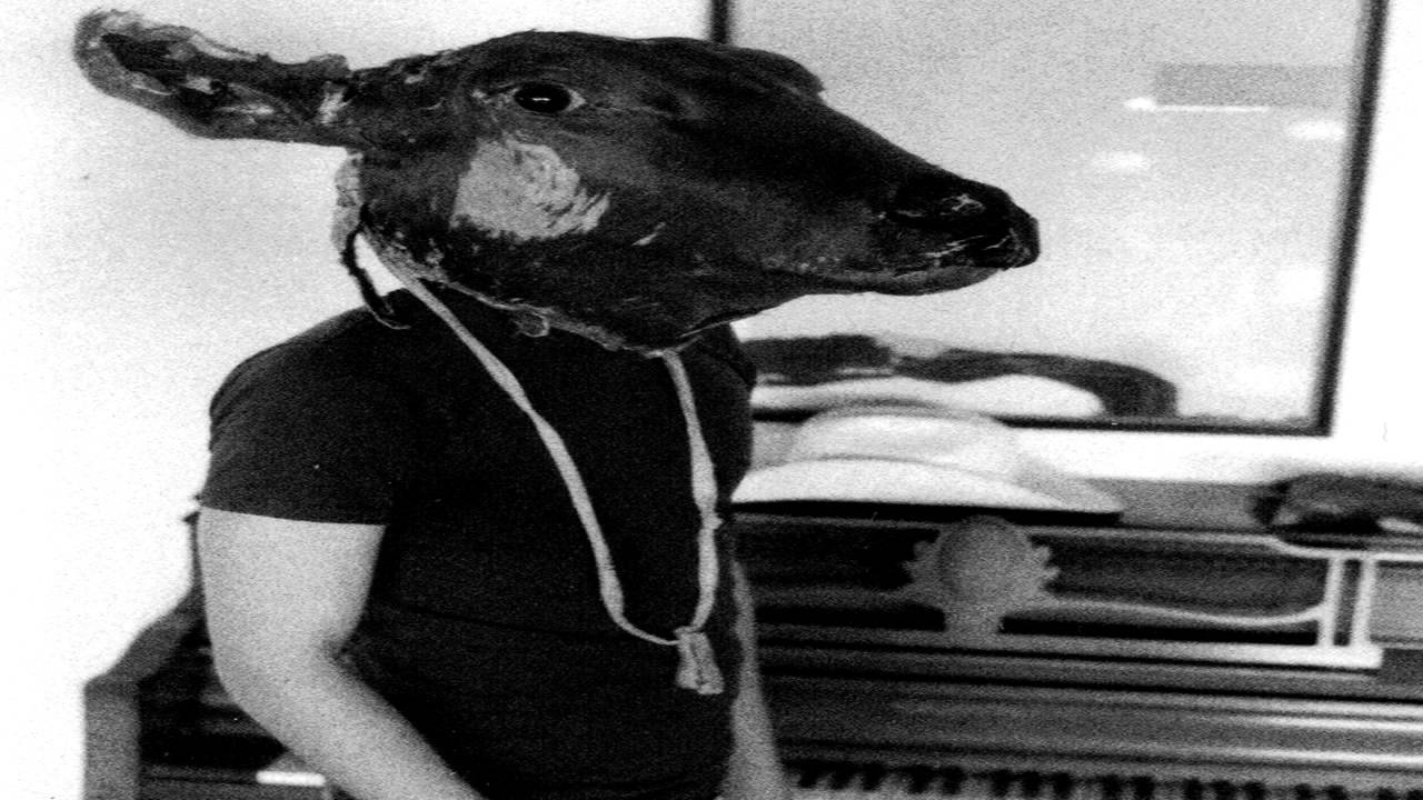 Shakey Graves - Business Lunch