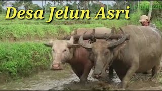 Profil Desa Jelun Kecamatan Licin Kabupaten Banyuwangi.