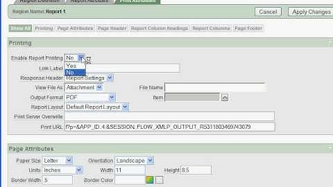 XML Report Output from APEX.avi