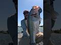 🎣 GIANT BASS LOVE THIS OVERLOOKED BAIT! 🎣