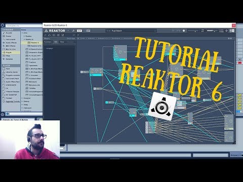 TUTORIAL REAKTOR 6 【Native Instruments】(ITALIANO)