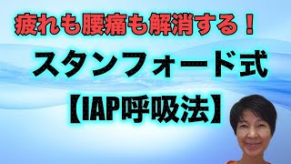 疲れも腰痛も解消する！【IAP呼吸法】スタンフォード式