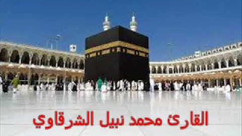 تلاوة رائعة بصوت القارئ محمد نبيل الشرقاوي | ما تيسر من سورة النساء