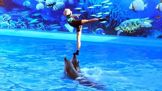 Show de Delfines  Recopilación de los mejores trucos. Vol 1