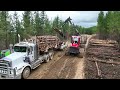 Komatsu 875 loading a kenworth truck in australia