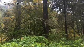 OWIT on Oregon Forestry Practices Act