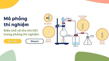 📌NaCl + H2SO4📌👩‍🔬 Điều chế và thu khí HCl trong phòng thí nghiệm🥽Preparation of Hydrogen chloride 🥼