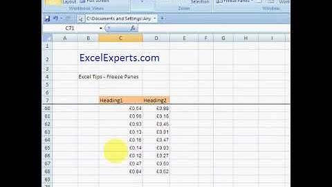 ExcelExperts.com - Excel Tips -Freeze Panes