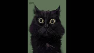 #kiravasilevski #cat #speedpaint #procreate #art #catlover #animal #art #digitalart #drawing