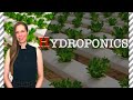 HYDROPONIC Farming: 7 Things You Should Know