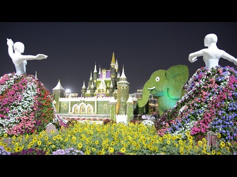 Dubai - Miracle Garden