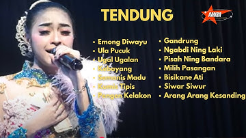 TARLING TENGDUNG INDRAMAYU_CIREBONAN BIKIN ADEM AYEM BANGET EMONG DIWAYU