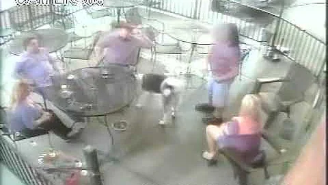 WATCH: Dog attacks woman in Arvada - DayDayNews